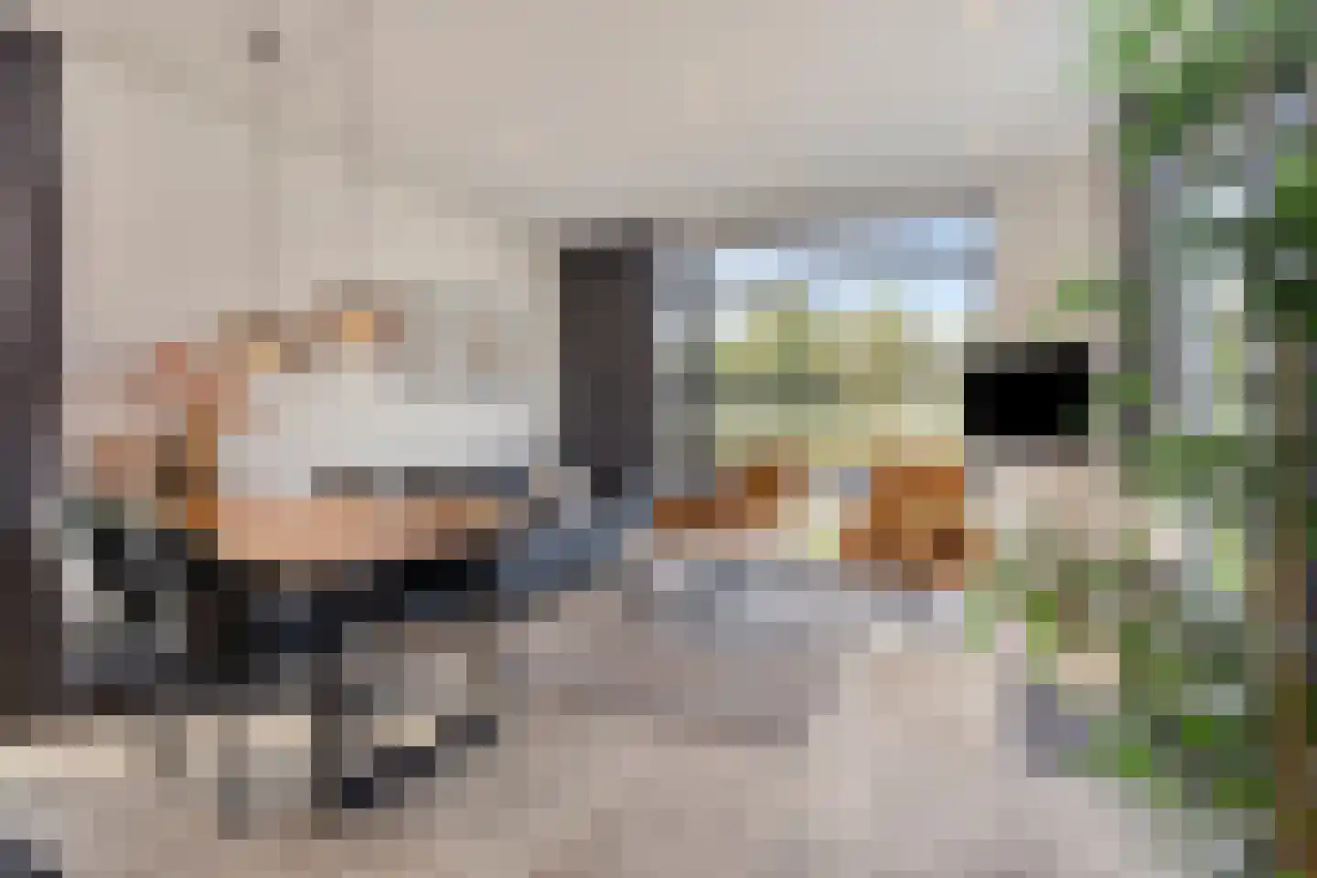 Rijnbandijk 36 75 Maurik thumbnail 4