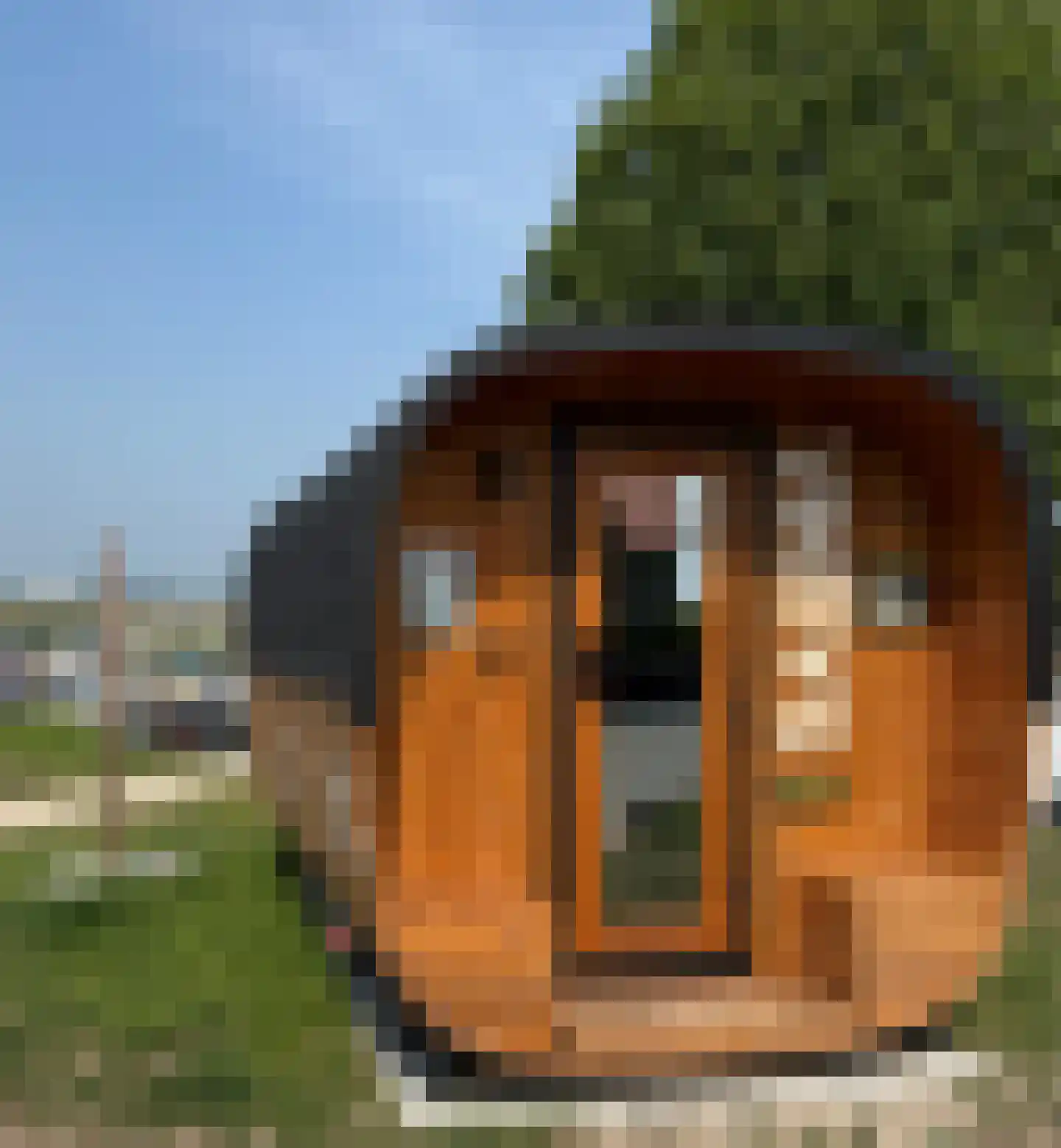 Rijnbandijk 36 76 Maurik thumbnail 10