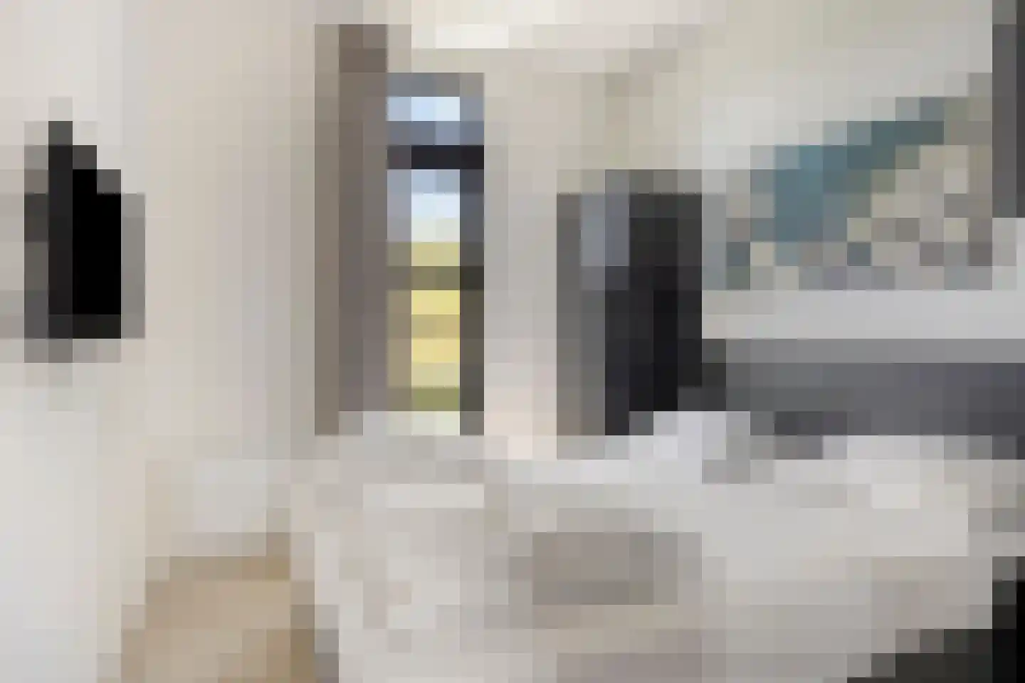 Rijnbandijk 36 9 Maurik thumbnail 21