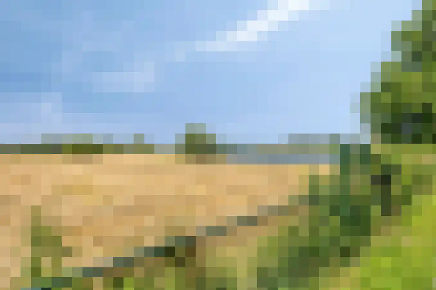 Rijnbandijk 36 9 Maurik thumbnail 26