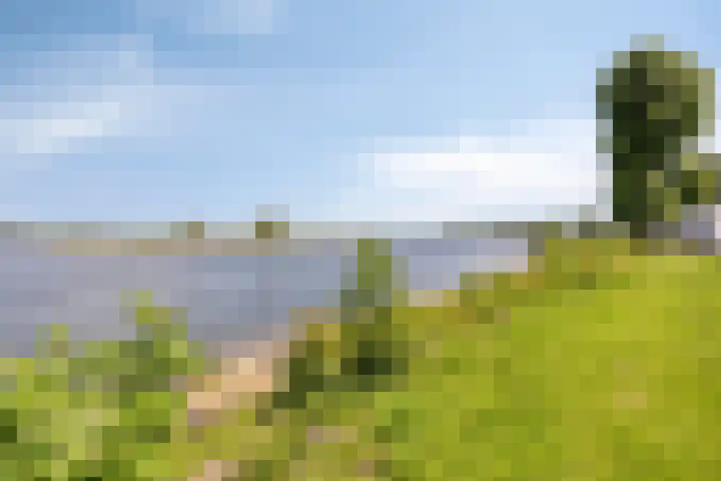 Rijnbandijk 36 9 Maurik thumbnail 28