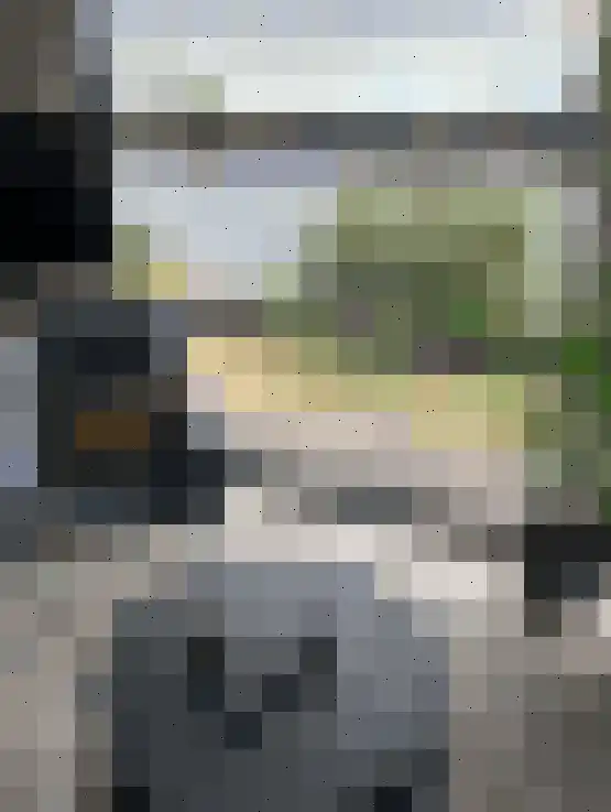 Rijnbandijk 36 Maurik thumbnail 36