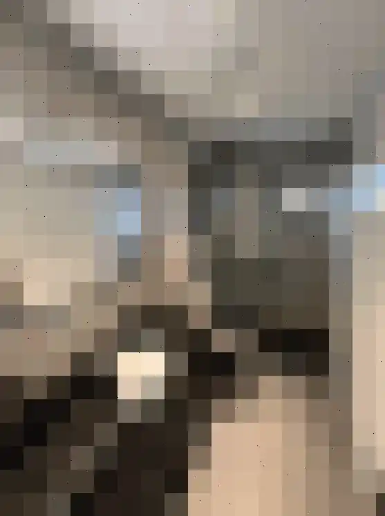 Rijnbandijk 36 Maurik thumbnail 37