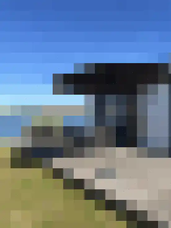 Rijnbandijk 36 Maurik thumbnail 4