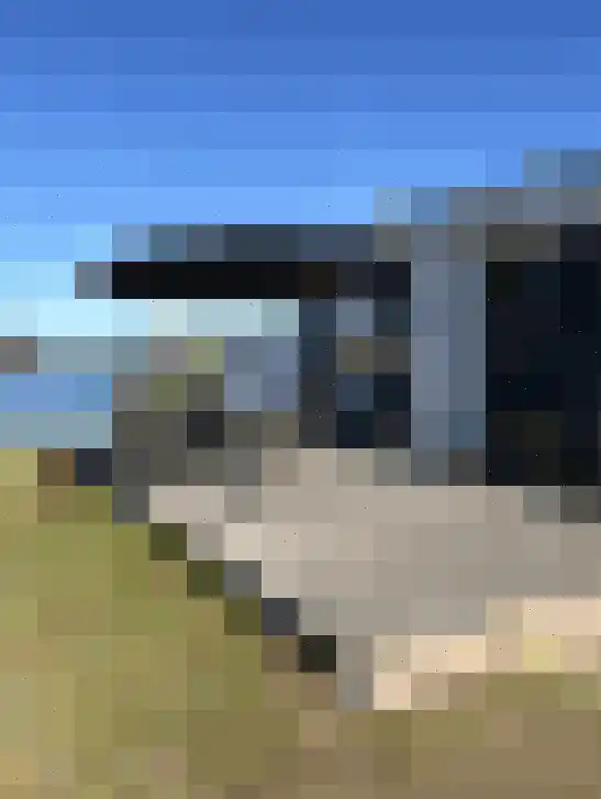 Rijnbandijk 36 Maurik thumbnail 5