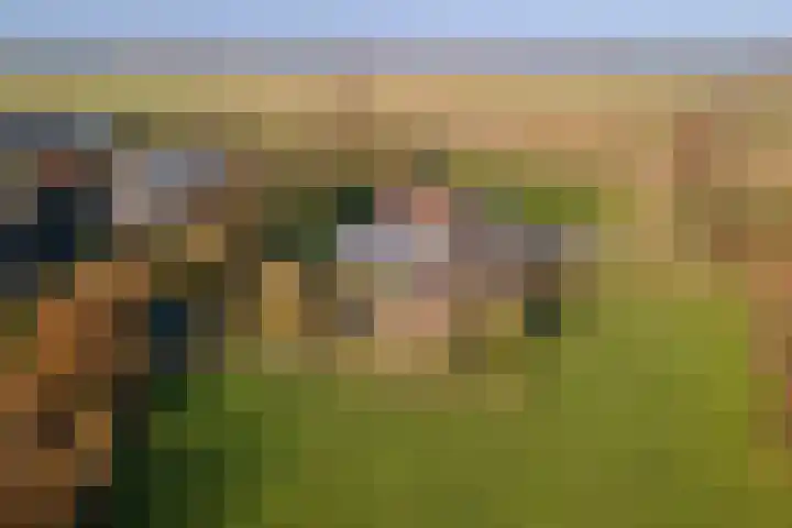Rijnbandijk 45 Maurik thumbnail 57