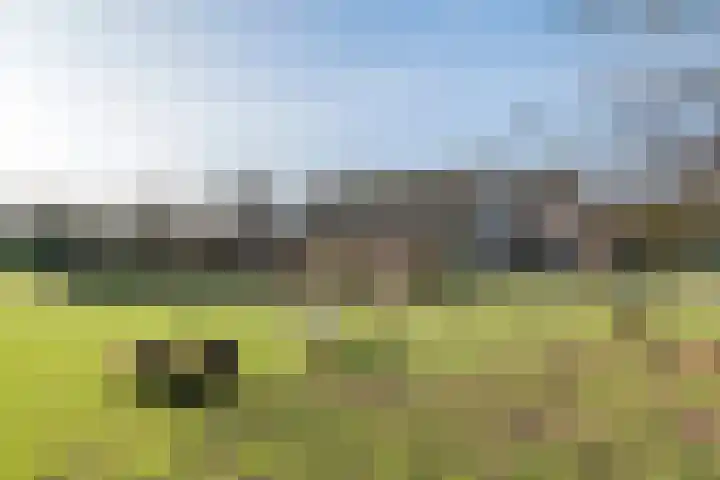 Rijnbandijk 45 Maurik thumbnail 8