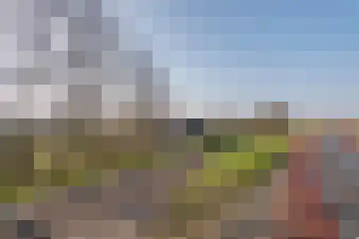 Rijnbandijk 45 Maurik thumbnail 9