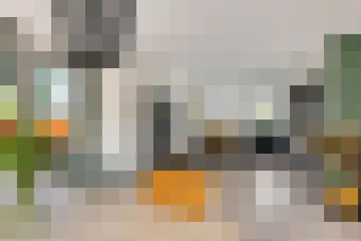Rijnbandijk 52 Kesteren thumbnail 10