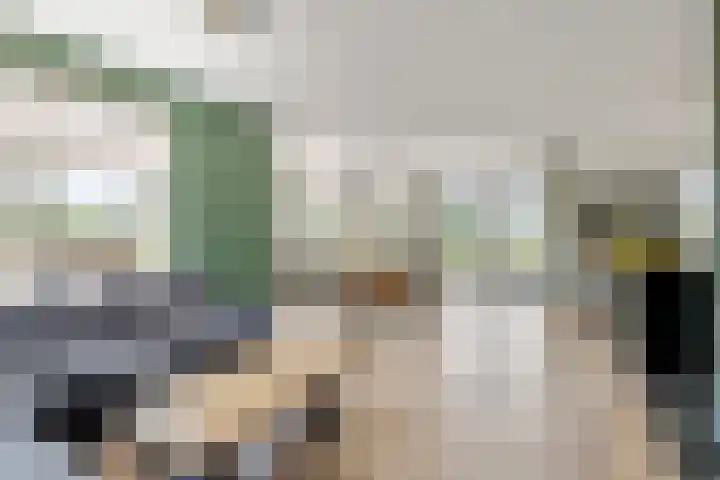 Rijnbandijk 52 Kesteren thumbnail 12