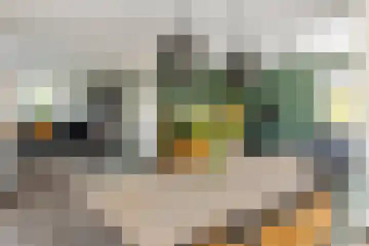 Rijnbandijk 52 Kesteren thumbnail 13