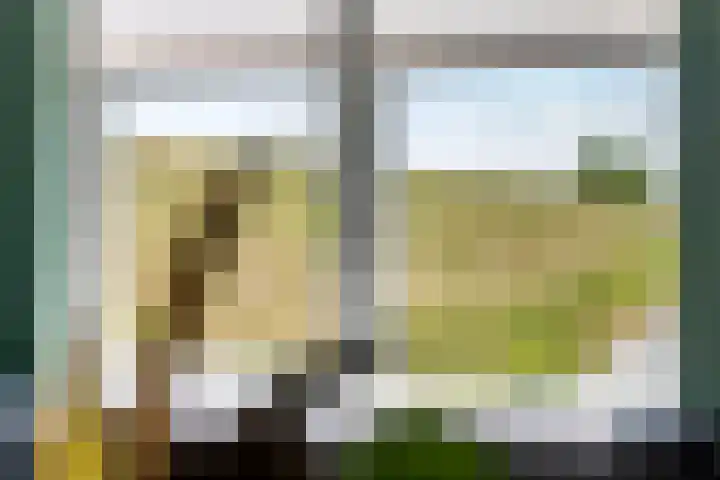 Rijnbandijk 52 Kesteren thumbnail 16
