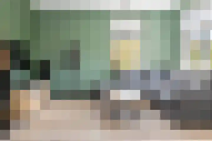Rijnbandijk 52 Kesteren thumbnail 17
