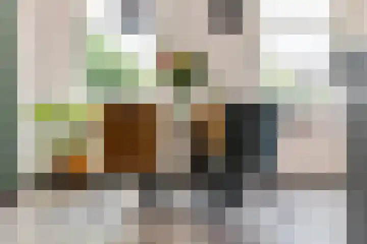 Rijnbandijk 52 Kesteren thumbnail 20