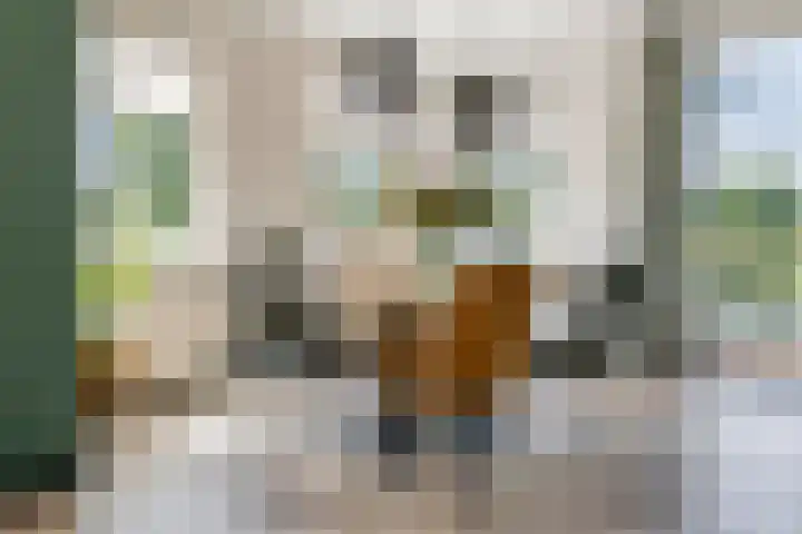 Rijnbandijk 52 Kesteren thumbnail 21