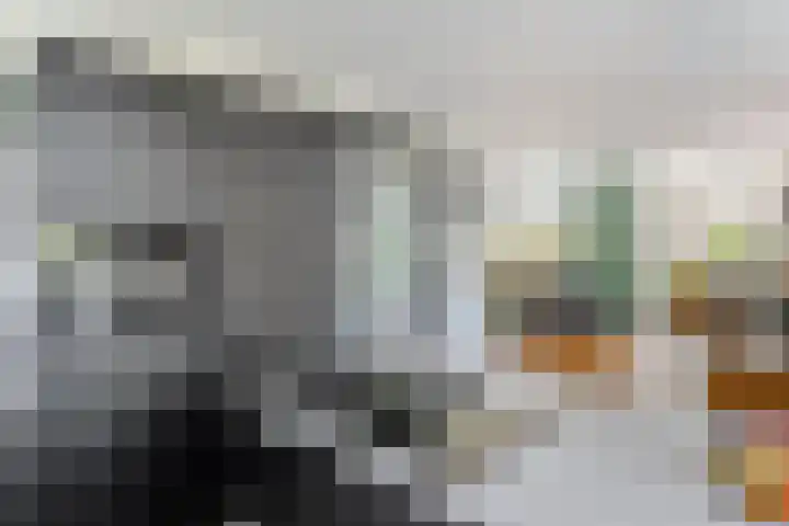 Rijnbandijk 52 Kesteren thumbnail 23