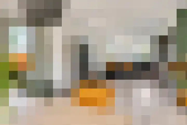 Rijnbandijk 52 Kesteren thumbnail 27