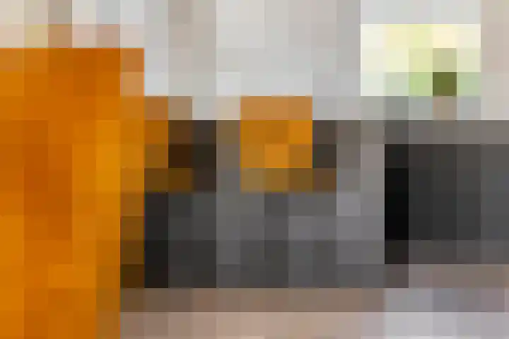 Rijnbandijk 52 Kesteren thumbnail 28