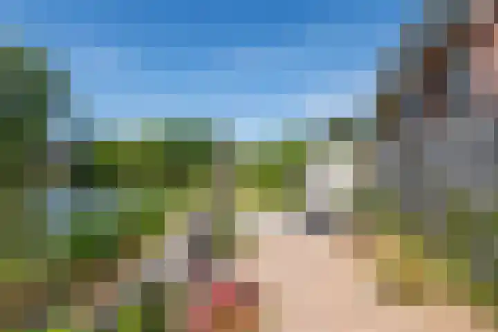 Rijnbandijk 52 Kesteren thumbnail 33