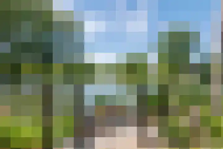 Rijnbandijk 52 Kesteren thumbnail 35