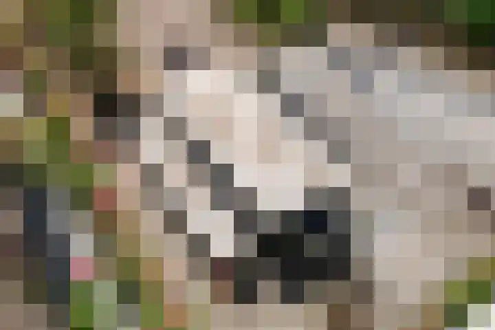 Rijnbandijk 52 Kesteren thumbnail 36