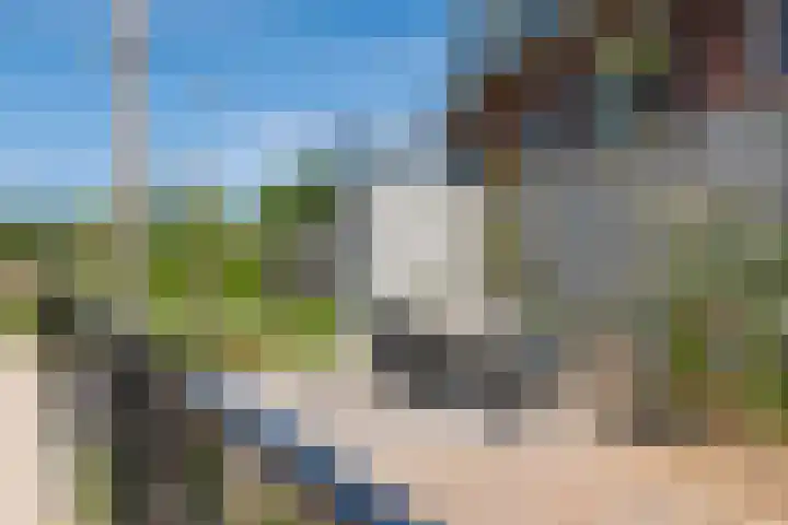 Rijnbandijk 52 Kesteren thumbnail 37