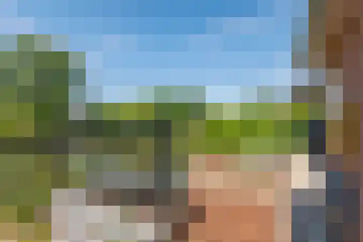 Rijnbandijk 52 Kesteren thumbnail 38