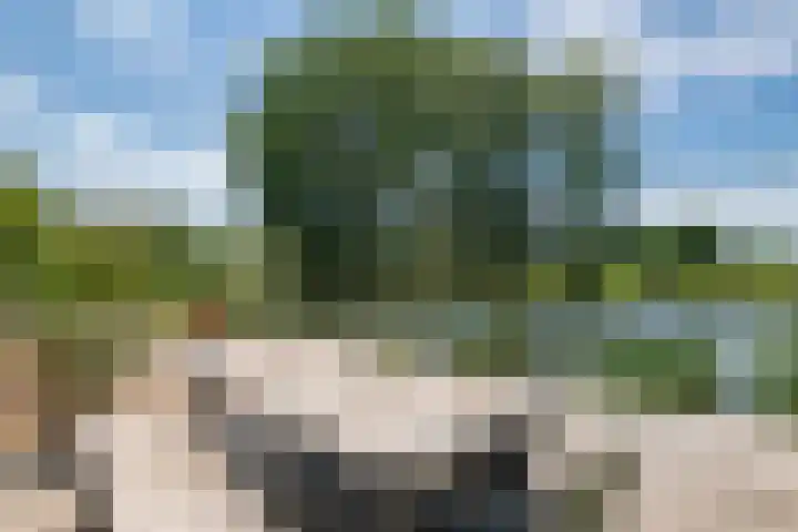 Rijnbandijk 52 Kesteren thumbnail 4