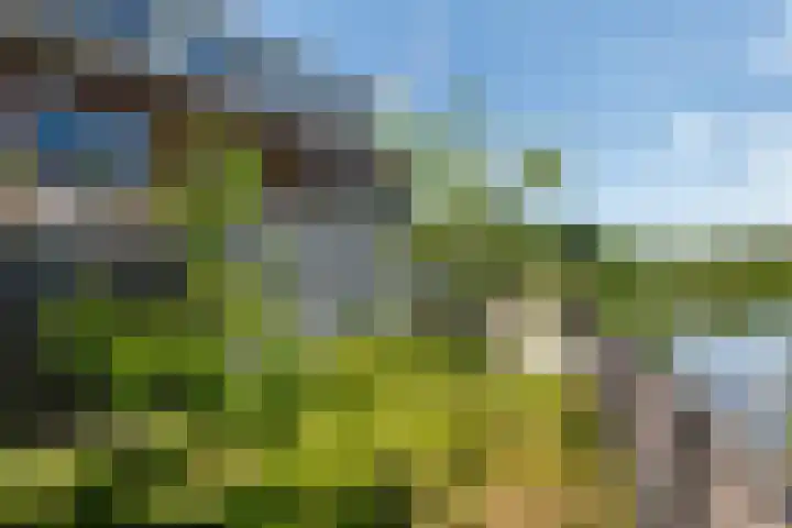 Rijnbandijk 52 Kesteren thumbnail 40
