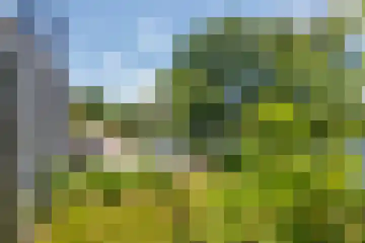 Rijnbandijk 52 Kesteren thumbnail 41