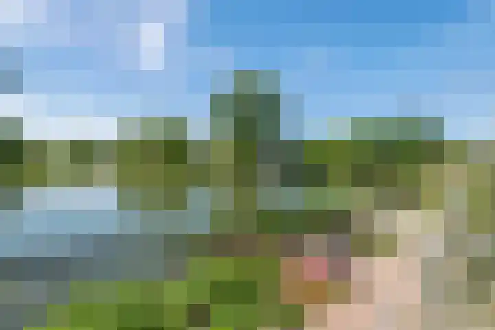 Rijnbandijk 52 Kesteren thumbnail 42
