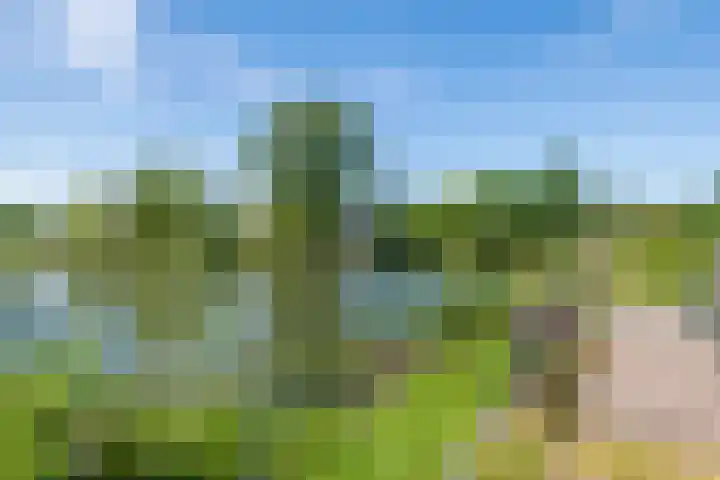 Rijnbandijk 52 Kesteren thumbnail 44