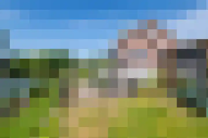Rijnbandijk 52 Kesteren thumbnail 45