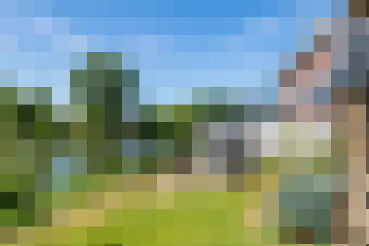 Rijnbandijk 52 Kesteren thumbnail 46