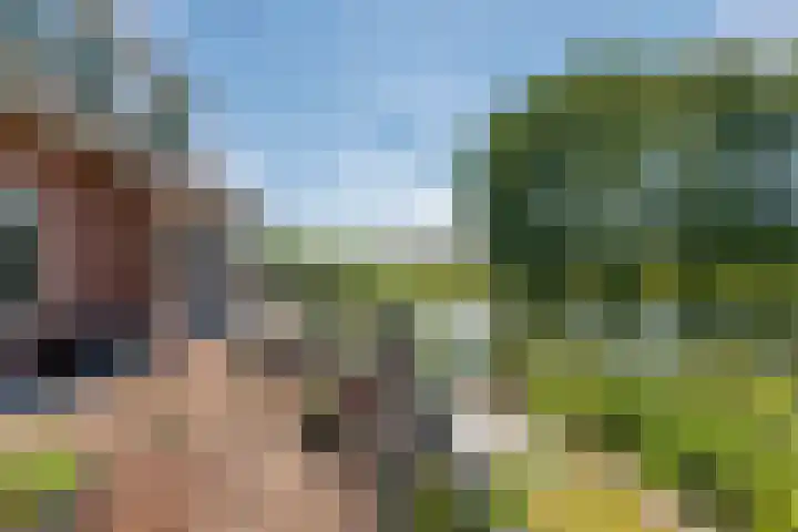 Rijnbandijk 52 Kesteren thumbnail 47
