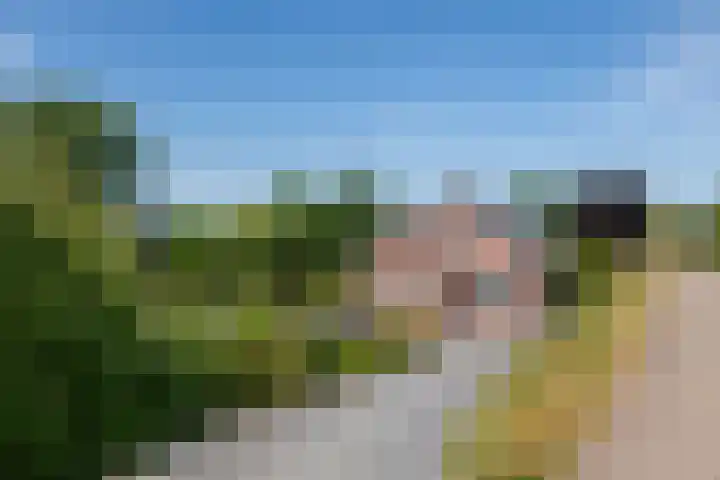 Rijnbandijk 52 Kesteren thumbnail 49