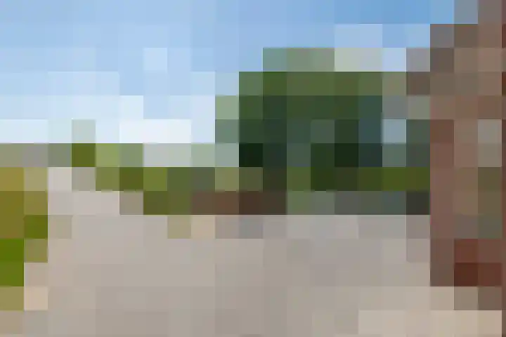 Rijnbandijk 52 Kesteren thumbnail 50