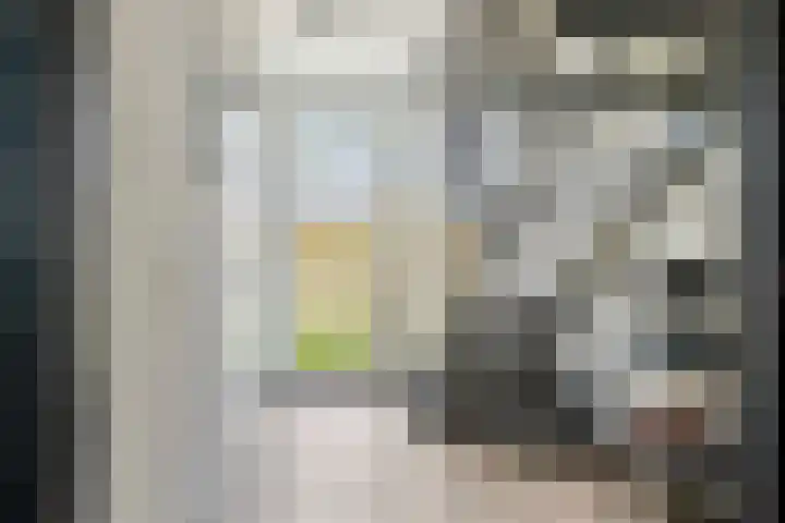 Rijnbandijk 52 Kesteren thumbnail 51