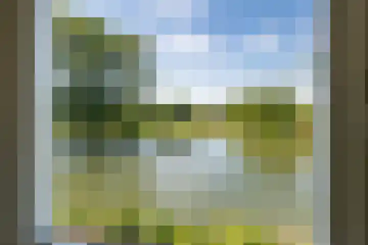 Rijnbandijk 52 Kesteren thumbnail 57