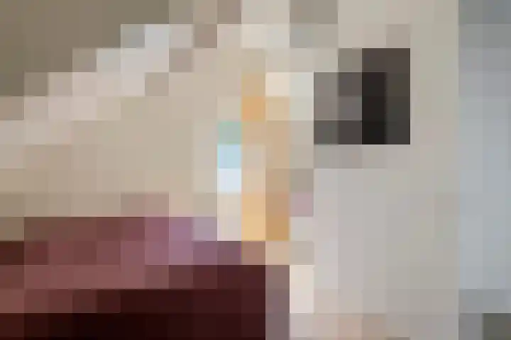 Rijnbandijk 52 Kesteren thumbnail 60
