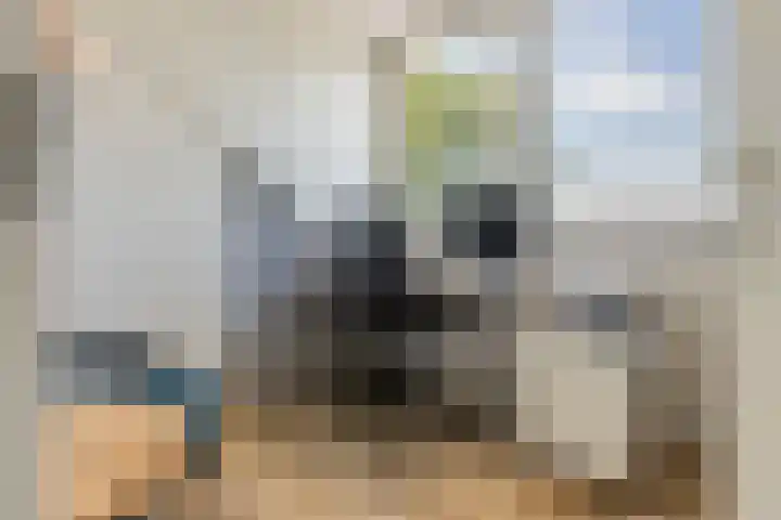 Rijnbandijk 52 Kesteren thumbnail 61