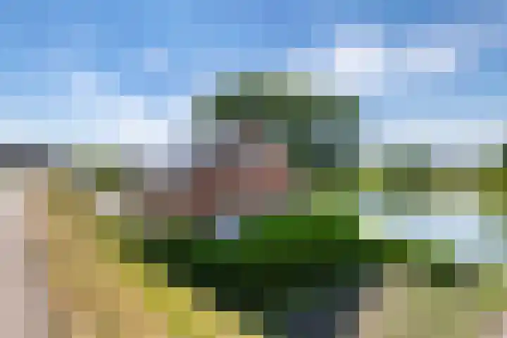 Rijnbandijk 52 Kesteren thumbnail 69