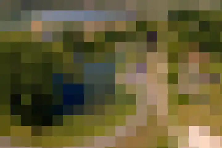 Rijnbandijk 52 Kesteren thumbnail 70