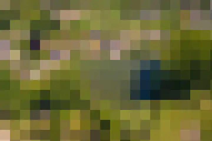 Rijnbandijk 52 Kesteren thumbnail 73