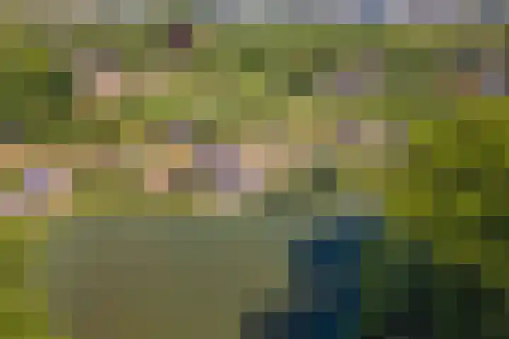Rijnbandijk 52 Kesteren thumbnail 74