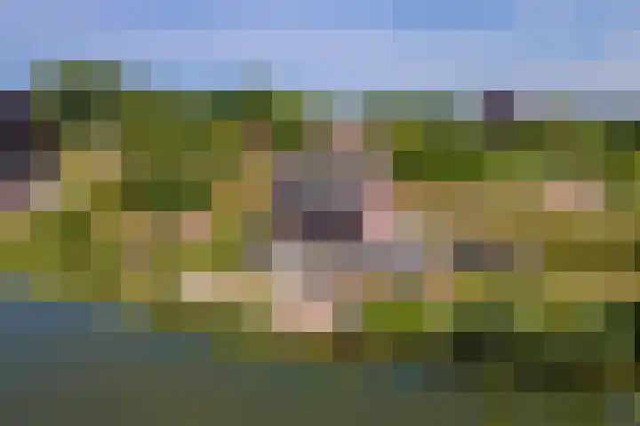 Rijnbandijk 52 Kesteren thumbnail 75