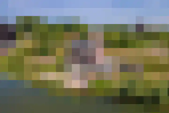Rijnbandijk 52 Kesteren thumbnail 76