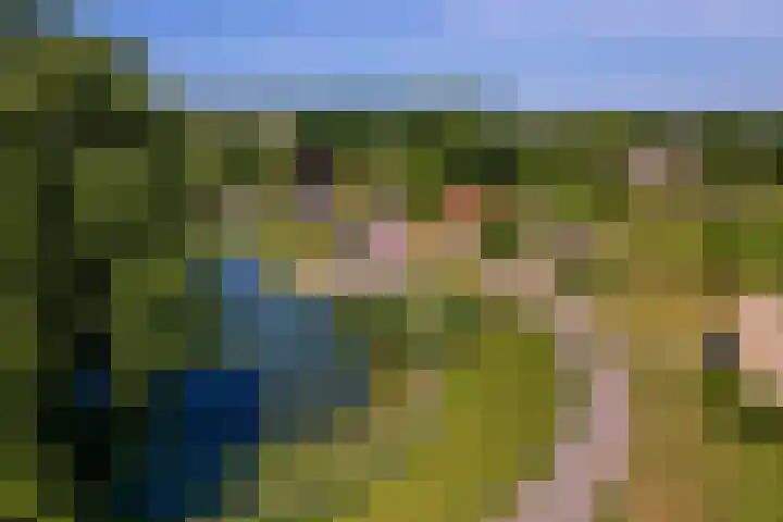 Rijnbandijk 52 Kesteren thumbnail 78