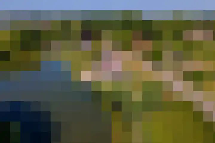 Rijnbandijk 52 Kesteren thumbnail 79