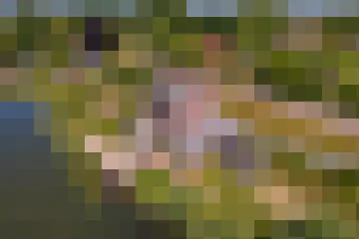 Rijnbandijk 52 Kesteren thumbnail 80